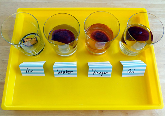 Little Zak's Academy | 4 Cool Science Activities Perfect for Preschoolers