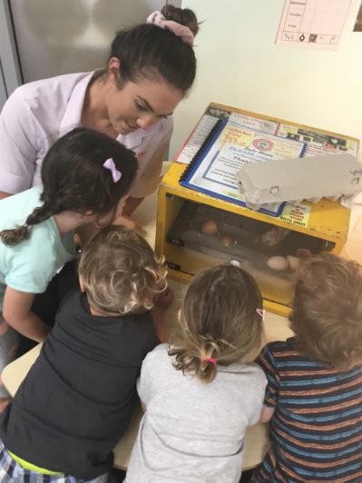 Little Zak's Academy | Easter Chicken Hatching