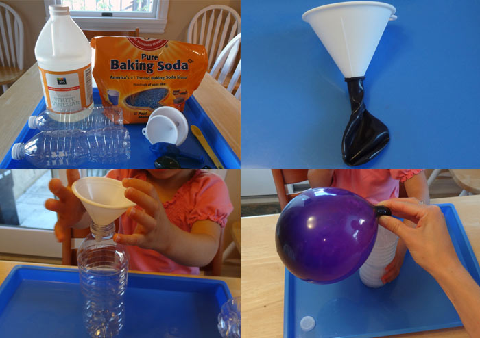 Little Zak's Academy | 4 Cool Science Activities Perfect for Preschoolers