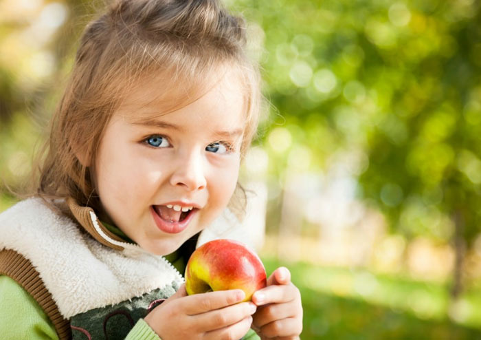 Little Zak's Academy | Secrets to Teaching Healthy Eating Habits