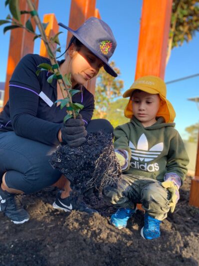 Little Zak's Academy | Garden Project at Little Zak’s Academy Brookvale