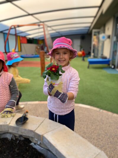 Little Zak's Academy | Garden Project at Little Zak’s Academy Brookvale